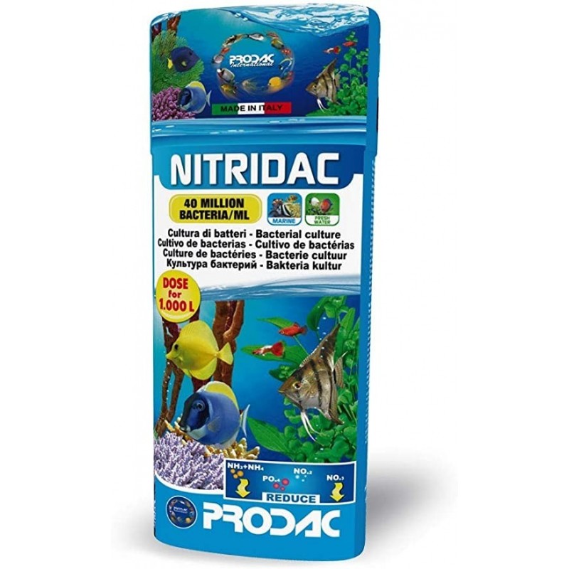 Prodac Nitridac 100 ml - Attivatore Batterico ad Alta Concetrazione Confezione per 1000 Litri