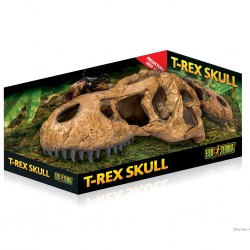 T-Rex Skull Nascondiglio...